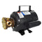 Jabsco Bronze AC Motor Pump Unit - 115v